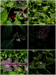 Cseppek minden mennyiségben:)