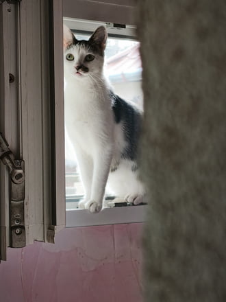 Szellőztetés közben...csupa élet Lady