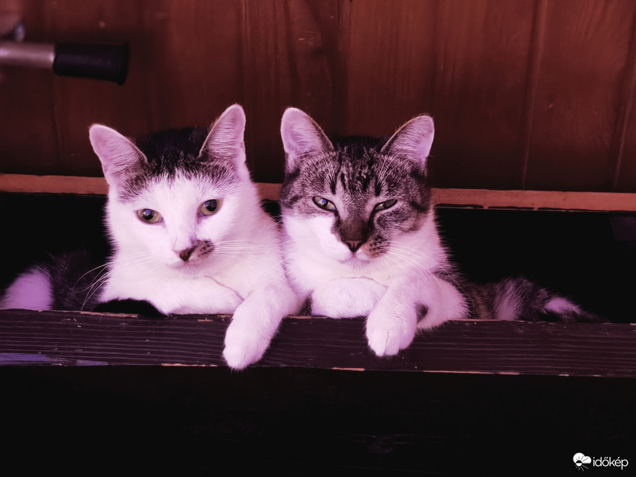 "Egyenfekvés"  :-))