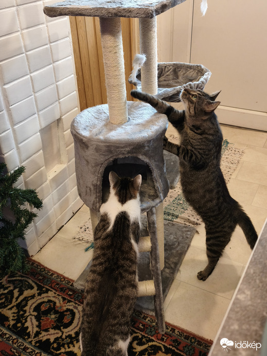 Ismerkedés az ajándékkal :-)