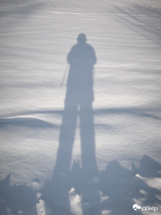 Mintha cicával fotózkodtam volna.... :-)