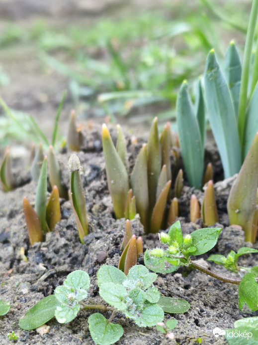 Mellettem az "utánpótlás" :-)