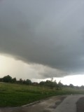 palmeheszet fotója