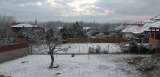 Erdőkertes
