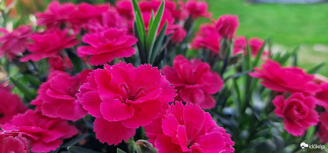 Feldebrő