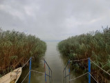 Balatonberény