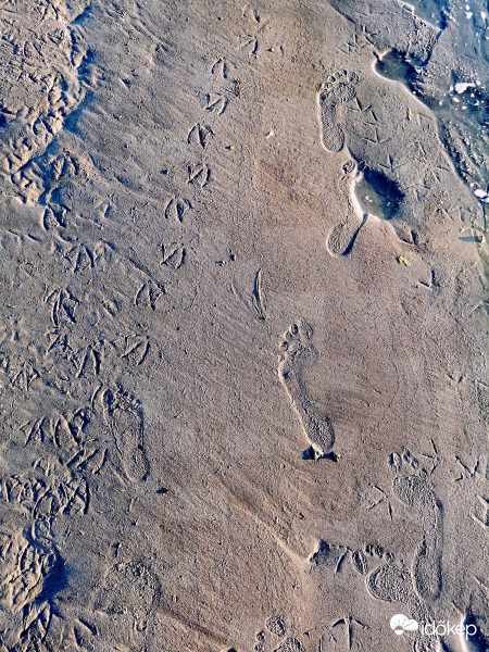 A nyomodban járok... 