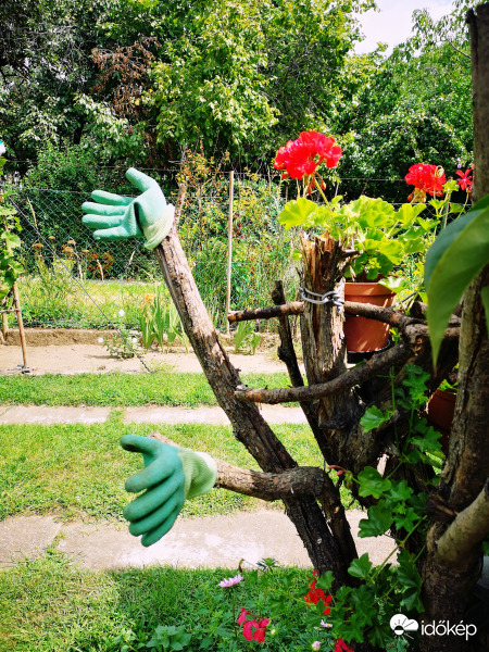 És ez itt a kert