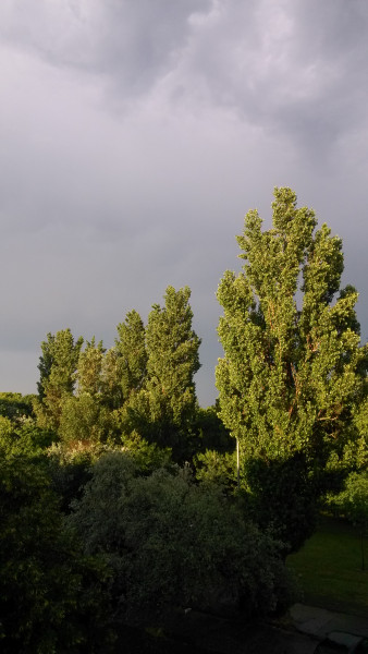 Zivatar után