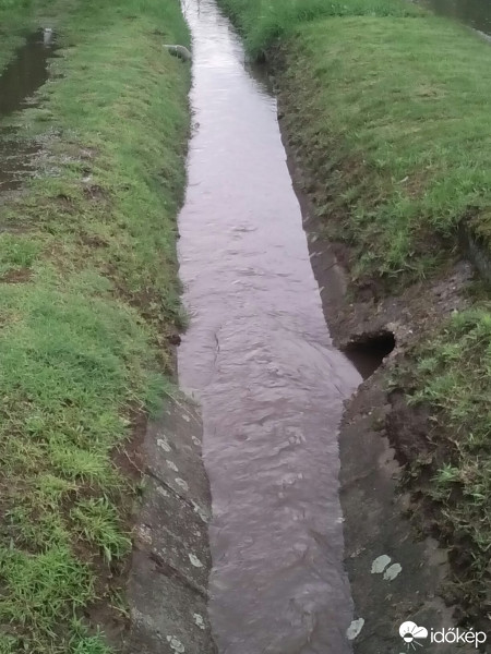 Dány