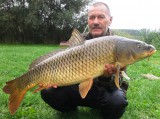 Pötrétei nyurga 12 kg