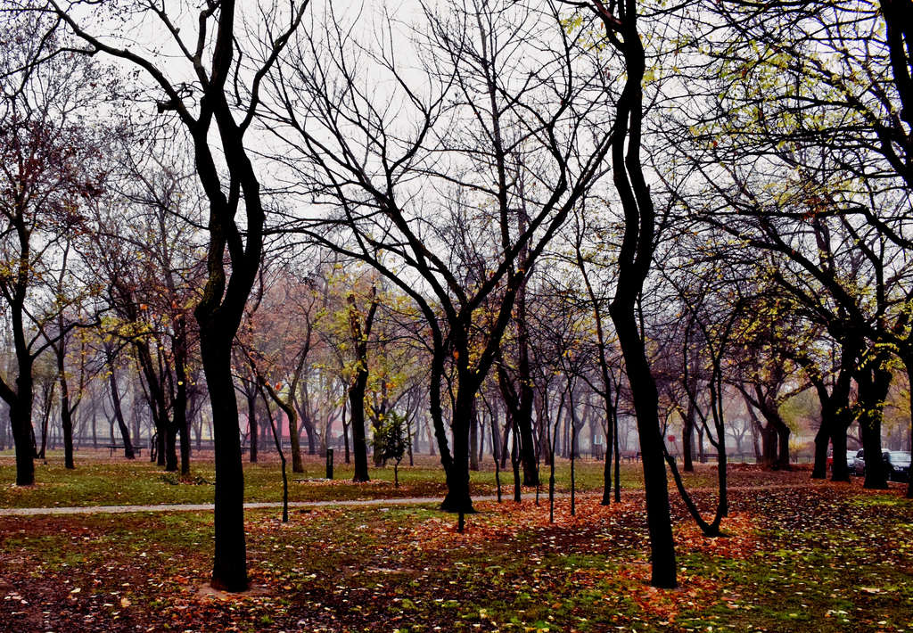 Novemberi hangulat