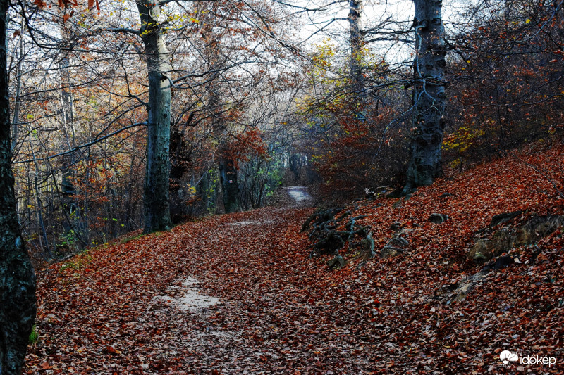 November