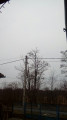 Tyukod