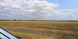Békéscsaba