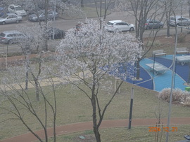 Kuopio park