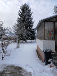 papolczyteri fotója