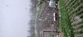 Harsány