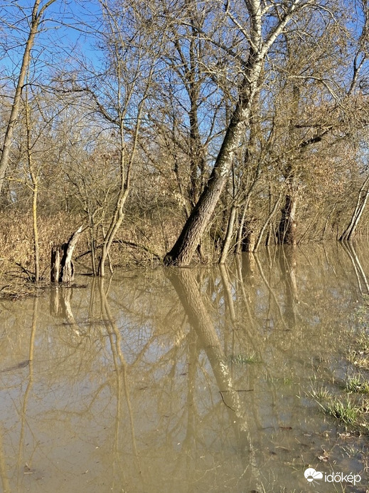 Sajó-(Tisza) áradás