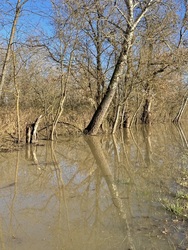 Sajó-(Tisza) áradás