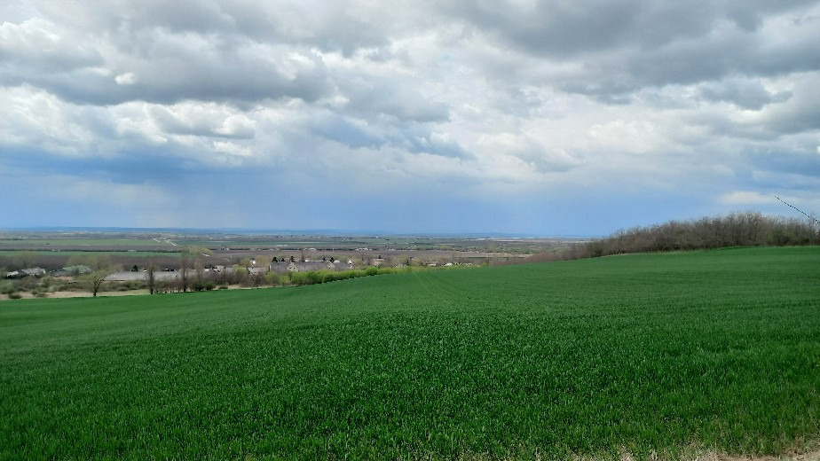 Petőfibánya