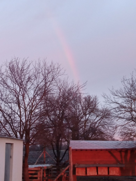 Hódmezővásárhely