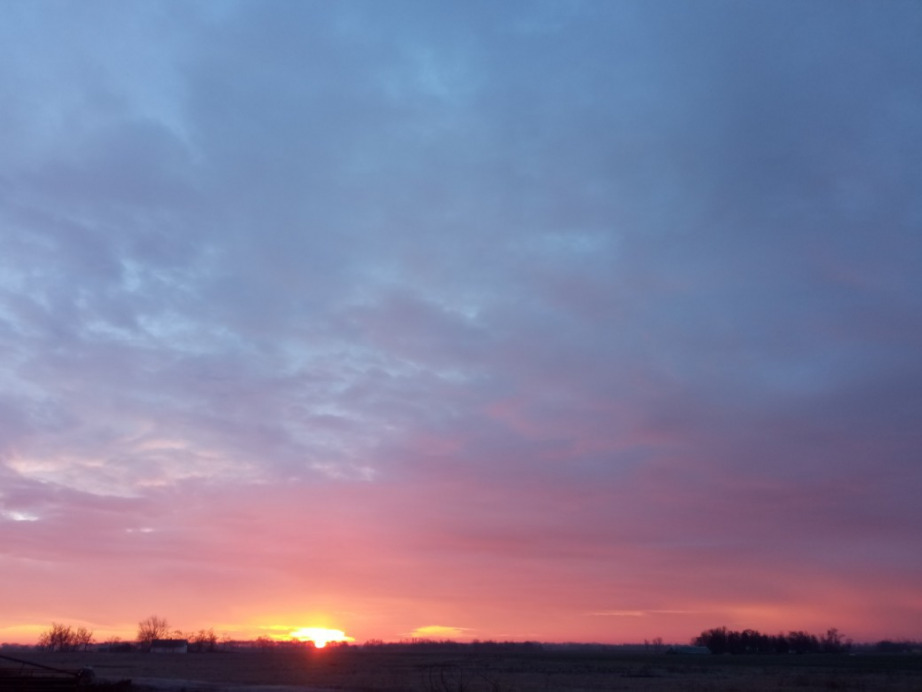 Hódmezővásárhely