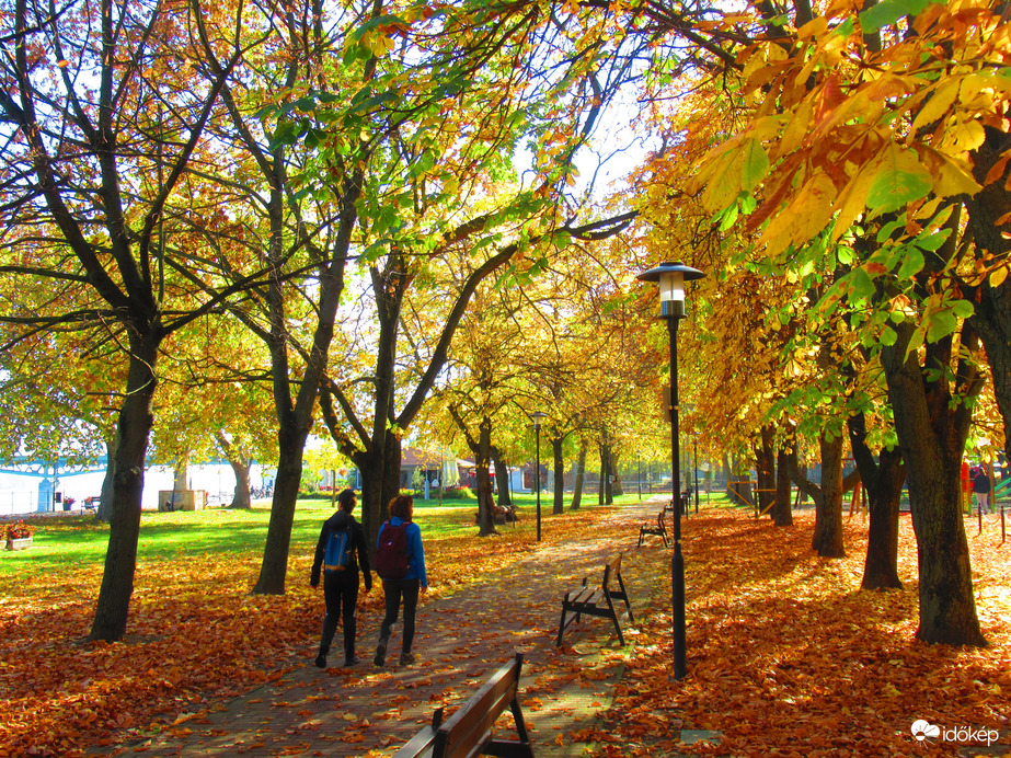 payakadarkautca fotója