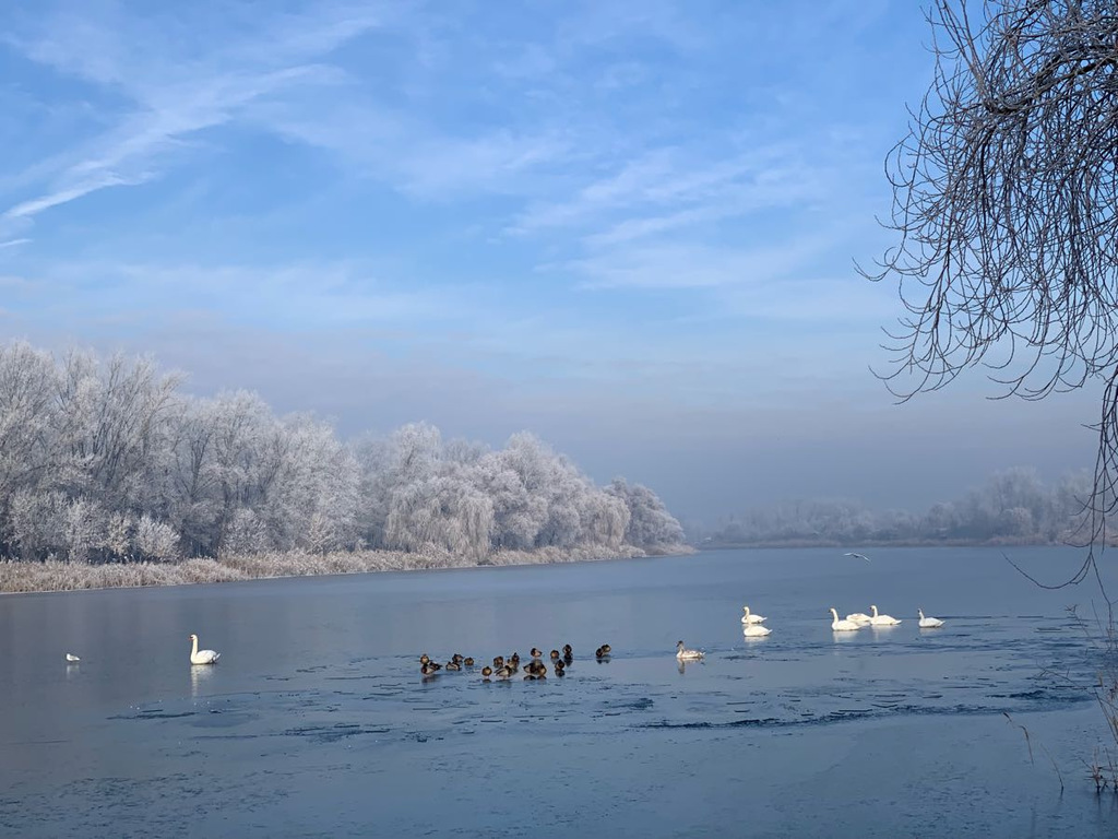 Budapest XVIII.ker - Pestszentimre