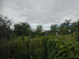 Kisvárda