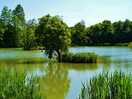 pecztibor fotója