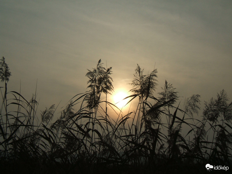 Bucsu a mai naptól ! 