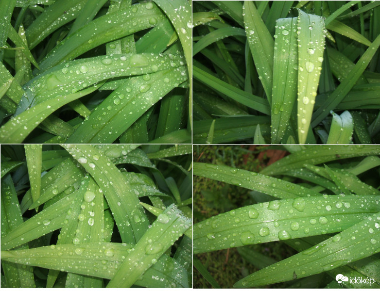 A  mai nap könnyei! 