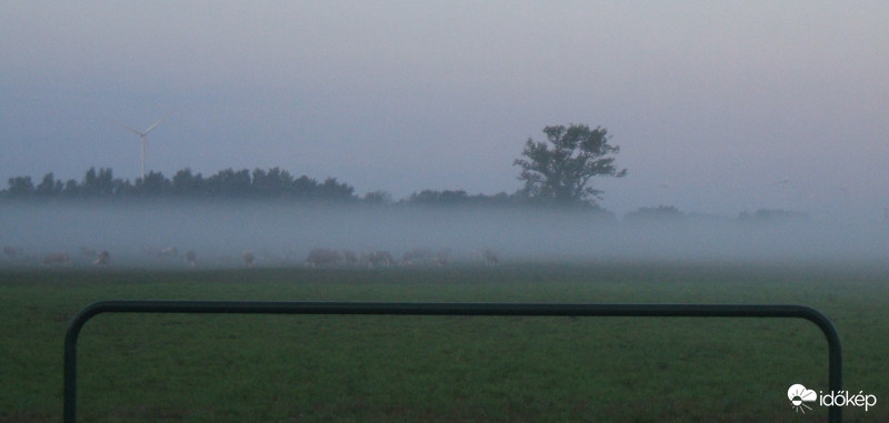 TEHENEK a ködben!