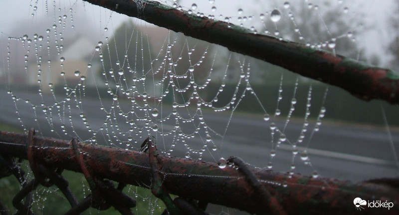 Ködös őszi reggel 