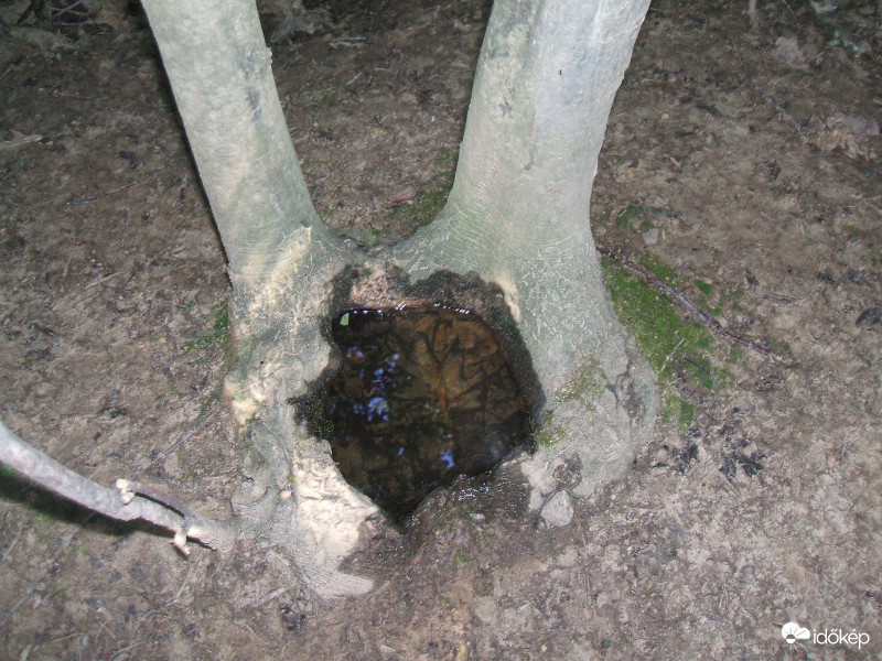 Természetes itató! 