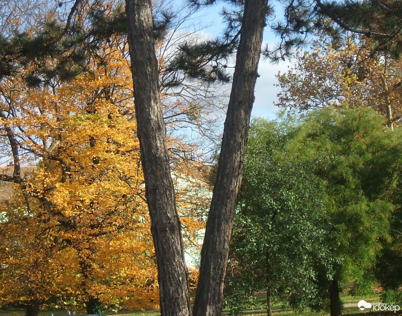 Szét választás V:)