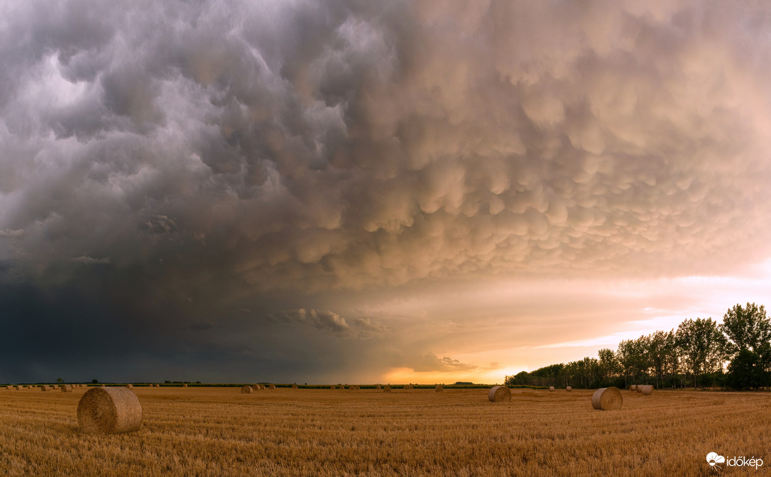 Mammatus felhők