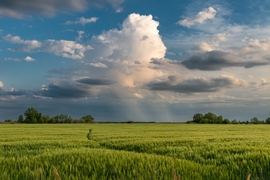 Püspökladány