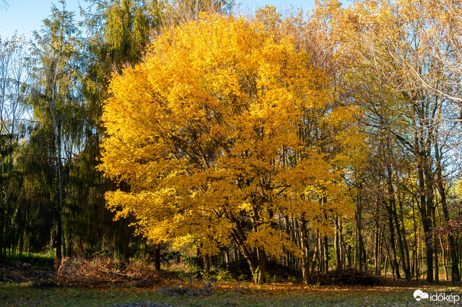 Püspökladány