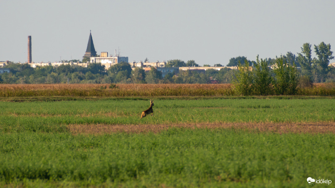 Püspökladány