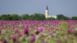 Püspökladány
