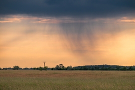 Püspökladány