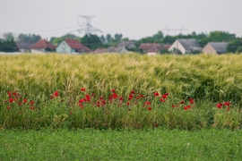Püspökladány