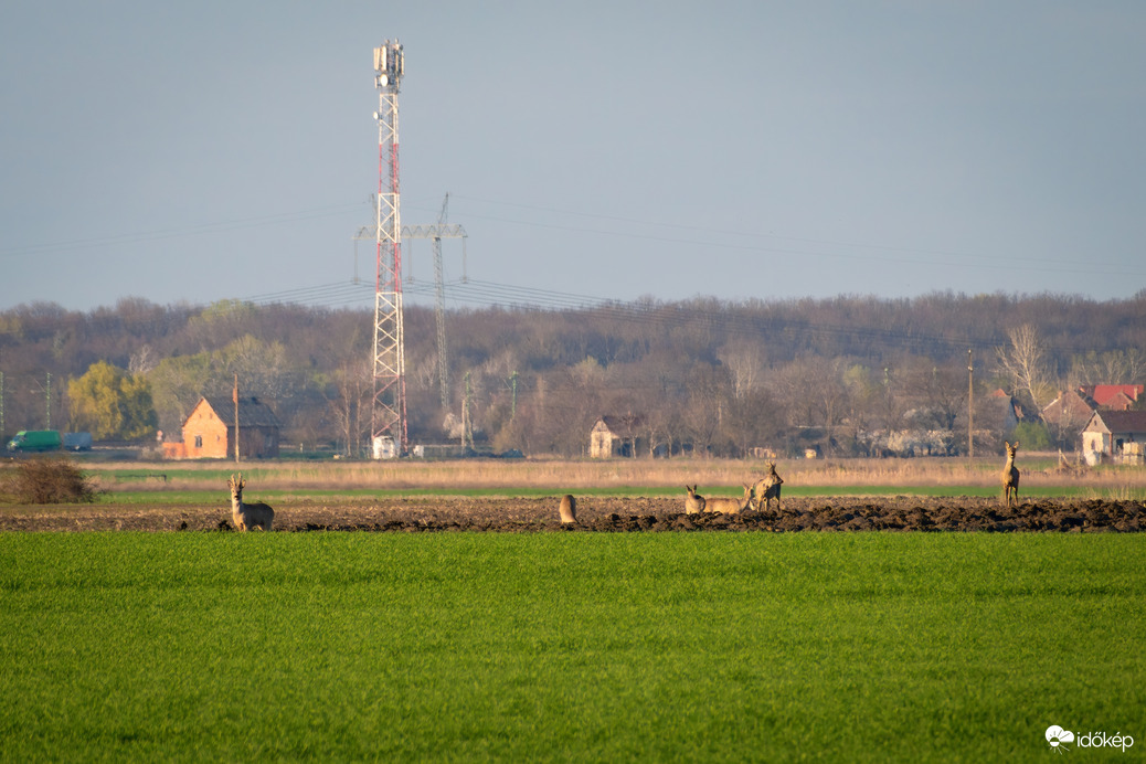 Püspökladány