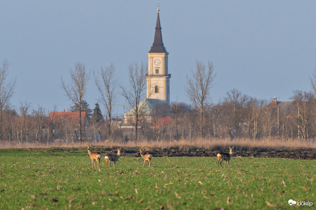 Püspökladány