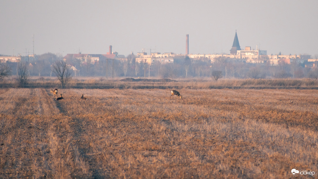 Püspökladány