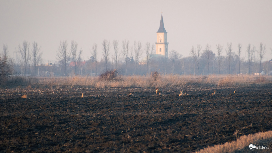 Püspökladány