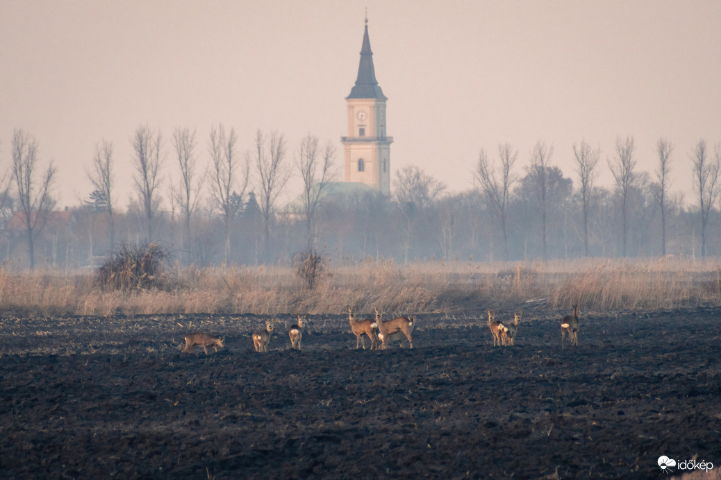 Püspökladány