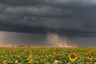 Püspökladány